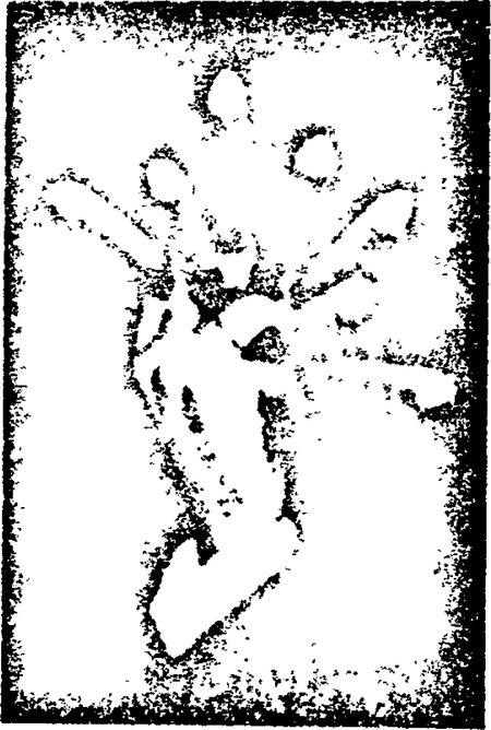 bgh_-_1969-04-30_i-zr-122-67_abb001.jpg