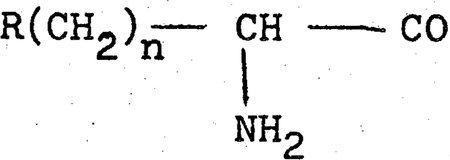 bgh_-_1978-05-30_x-zr-16-76_abb003.jpg