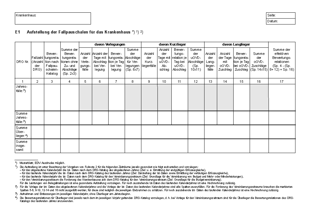 Formblatt E1