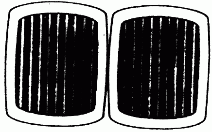 LNRB 1984, 12925