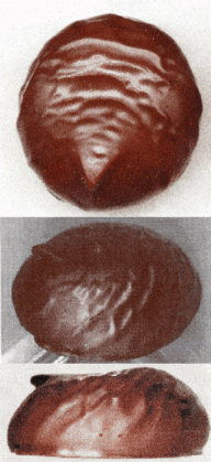 LNRB 2005, 11692a