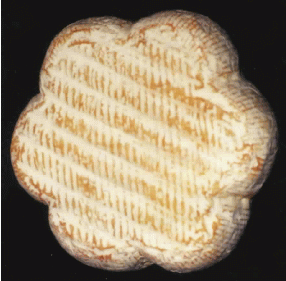 LNRB 2008, 21093
