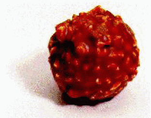 LNRB 2009, 28591