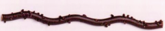 LNRB 2013, 41595b